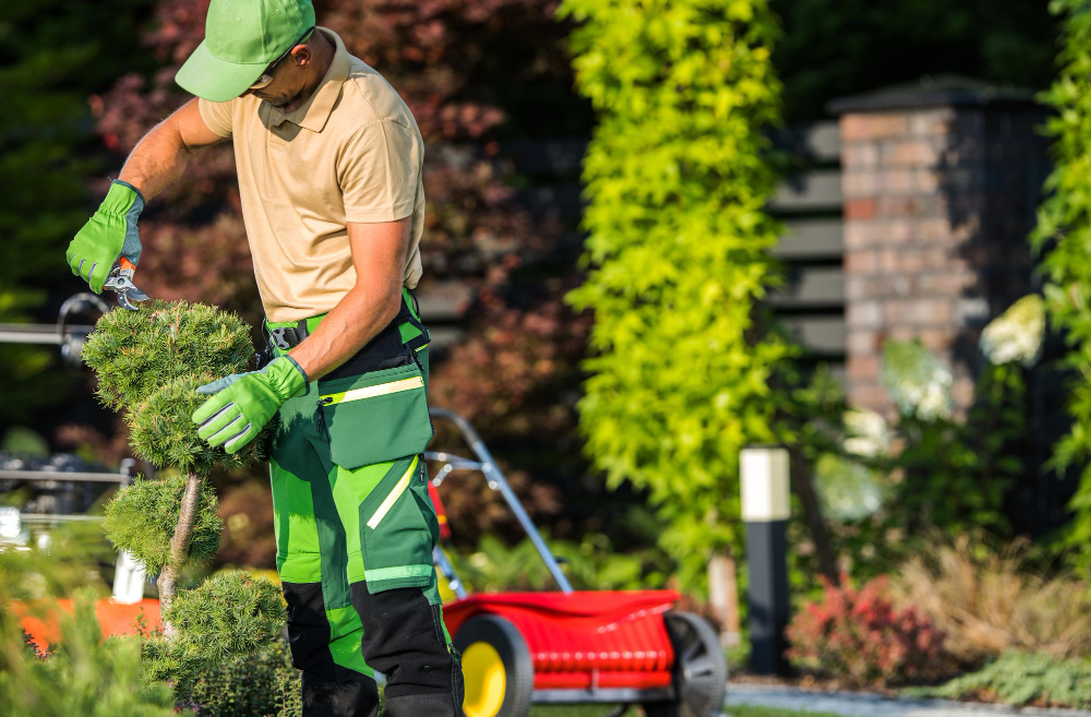 Création et entretien de jardin avec plantation, taille de haies et nettoyage des massifs